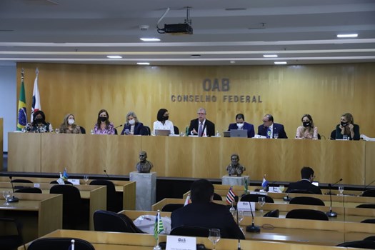  Após empate, paridade de gênero nas eleições da OAB é aprovada