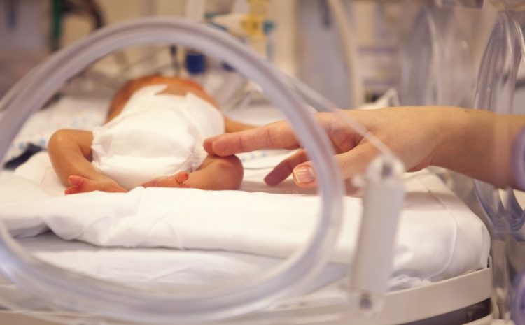  STF estende licença-maternidade para mãe de prematuro internado desde nascimento