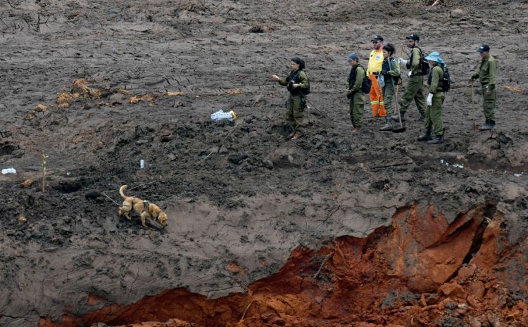  Brumadinho: acordo entre Vale e Minas Gerais para reparar danos do desastre é questionado no STF