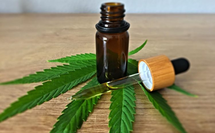  TJ-SP autoriza farmácia de manipulação a vender derivados da cannabis
