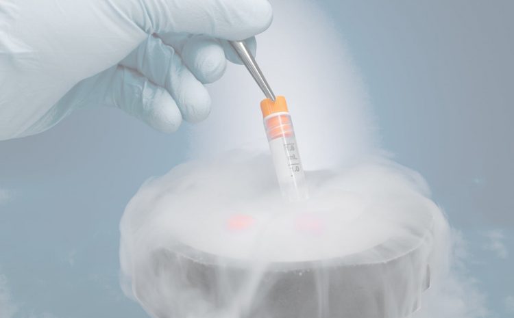Viúva não pode implantar embriões sem autorização expressa do falecido, decide STJ
