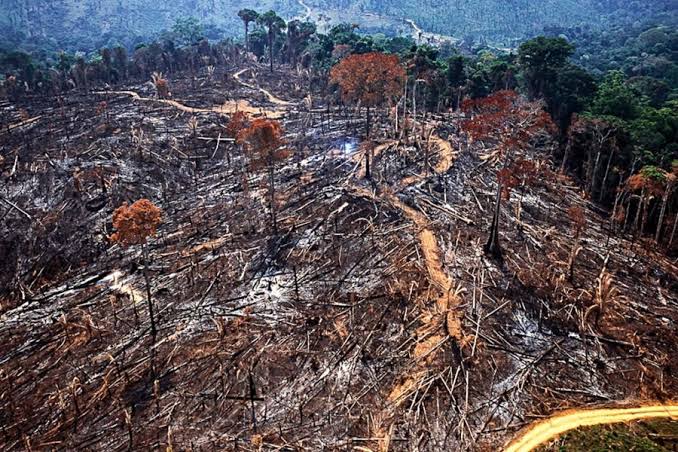  STF não deve fiscalizar desmatamento na Amazônia, opina Aras