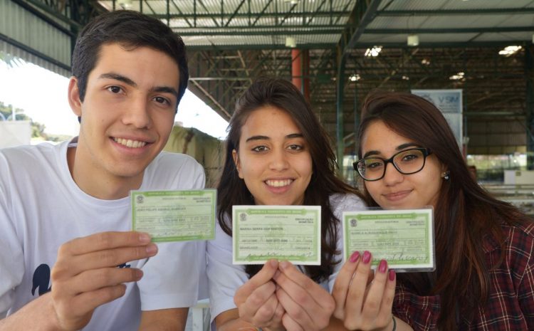 Quase 100 Mil Jovens De 15 A 18 Anos Solicitaram O Título De Eleitor Na