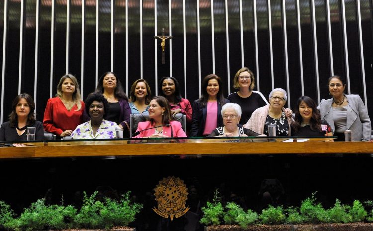  OAB atenta à PEC das candidaturas femininas