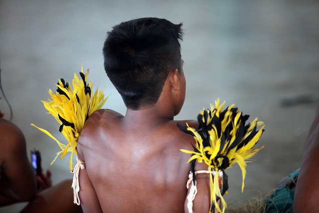  STF suspende decisões que impedem demarcação de terras indígenas