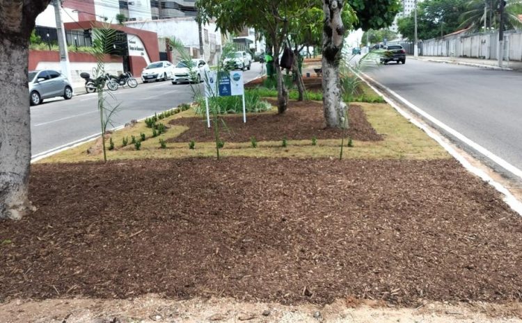  Programa Natal Mais Verde muda paisagismo de canteiros de Natal