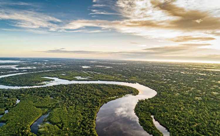 Justiça determina envio de helicópteros à Amazônia para buscas de sumidos