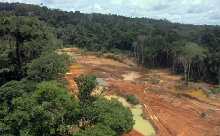  Corte IDH determina que Brasil tome medidas para proteger indígenas de garimpeiros