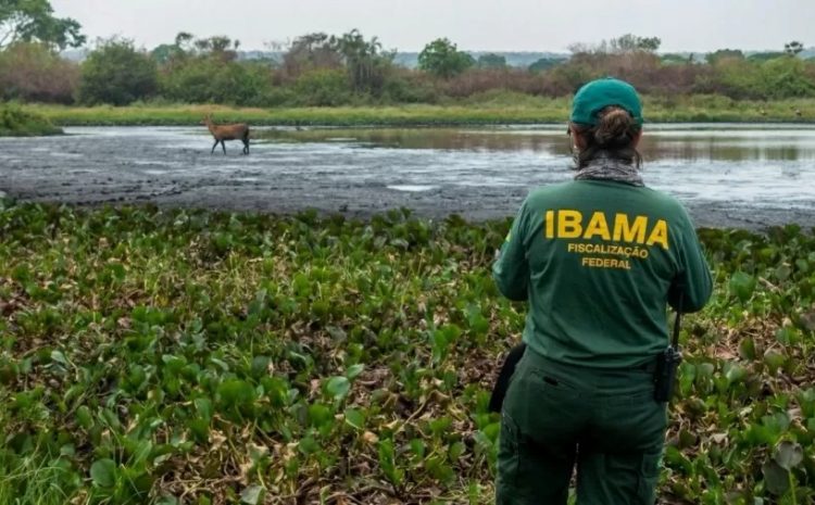  Parlamentares vão à Justiça para suspender prescrição de multas do Ibama