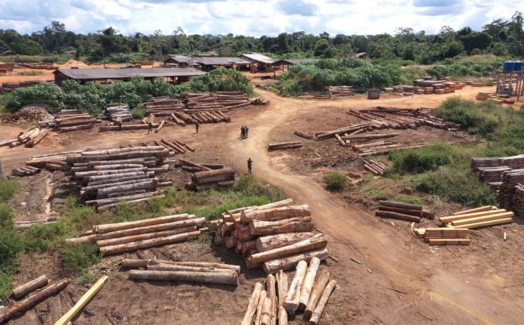  MPF reitera pedido de retirada de invasores de terras indígenas
