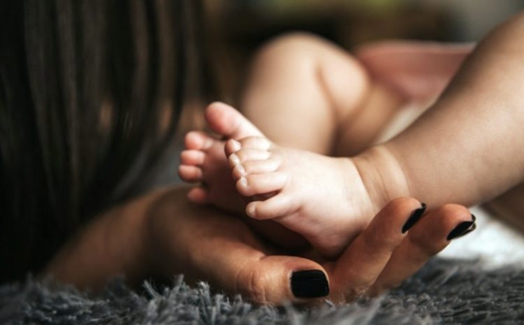  DIREITO À RESTITUIÇÃO: Advogada pode reaver prazo processual perdido por causa de parto