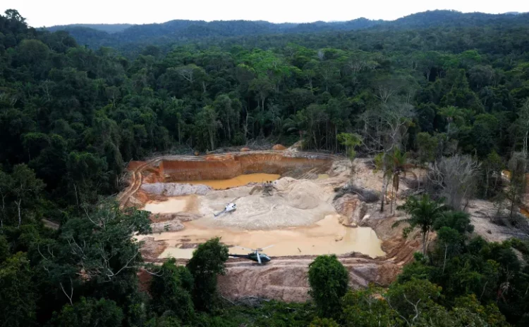  Empresa investigada por garimpo ilegal é mantida em Terra Yanomami