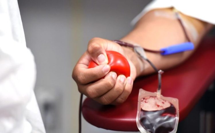  Doação de sangue é condição imposta em acordo homologado pelo TJDFT
