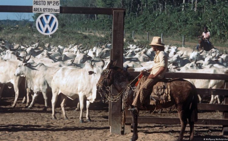  Trabalho escravo na Fazenda Volkswagen do Pará é tema de seminário do MPT em Cambridge