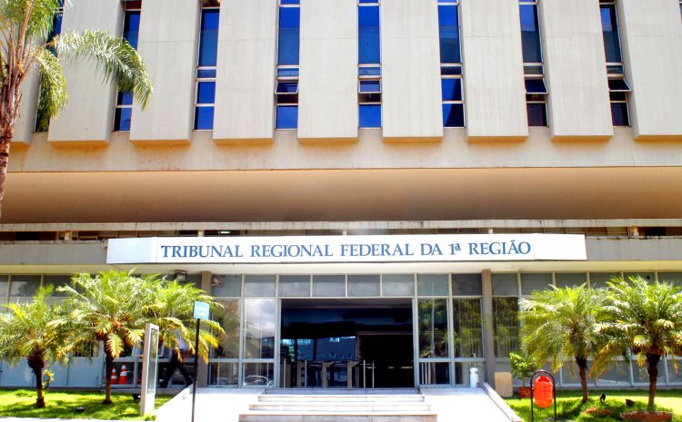  Designação de técnico judiciário para oficial de justiça ad hoc não caracteriza desvio de função