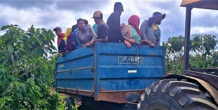  25 pessoas resgatadas de trabalho escravo em fazenda de café na Bahia