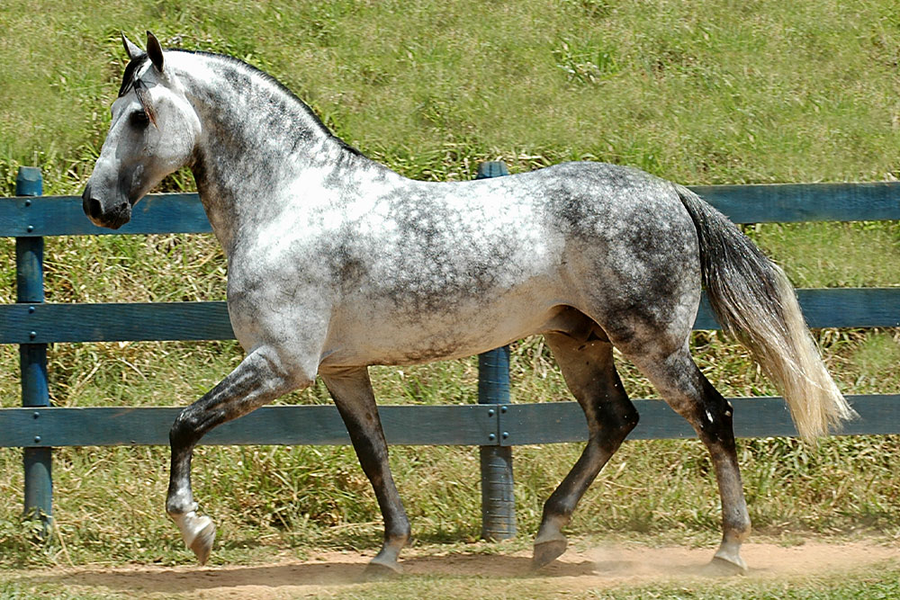 Foto: Divulgação/TJ-MG