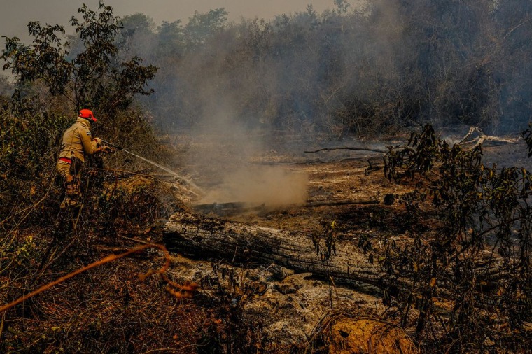 Foto: Divulgação/MP-MT