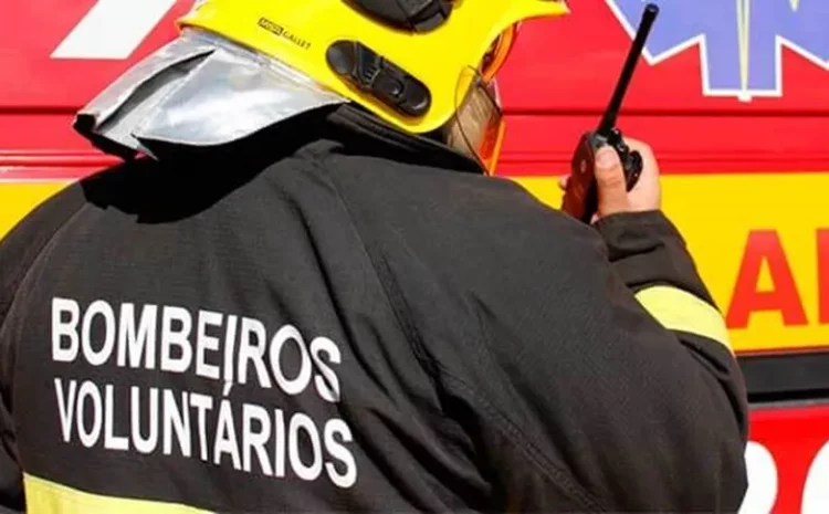  STF declara lei sobre atuação de bombeiros voluntários de SC inconstitucional