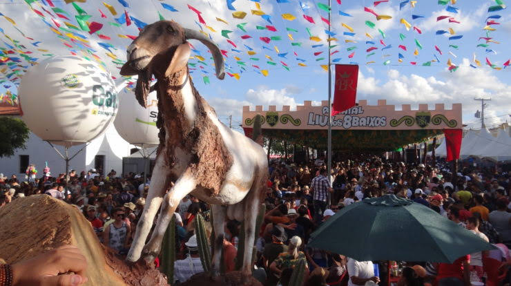 TJ-PB proíbe competições com caprinos na Festa do Bode Rei em Cabaceiras