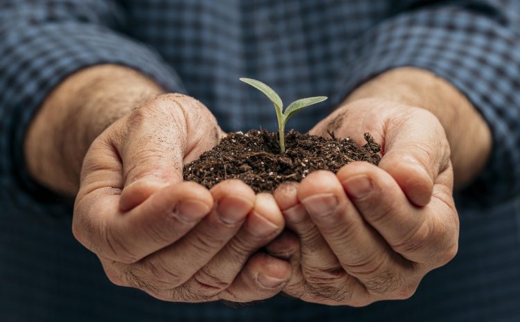  Iniciativa de sustentabilidade cultiva Horta Comunitária de sucesso, em Rondônia