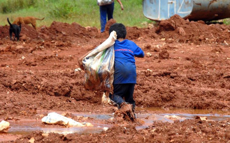  Justiça condena Cargill por contribuir com rede de trabalho infantil