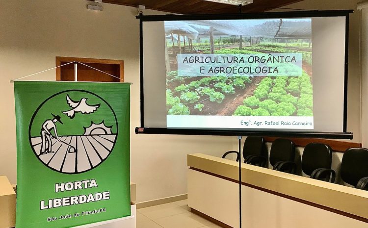  Projeto Horta da Liberdade: Quatro anos de reintegração social e crescimento sustentável no Paraná