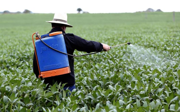  Adolescente é indenizada em R$ 19,8 mil por exposição a agrotóxicos