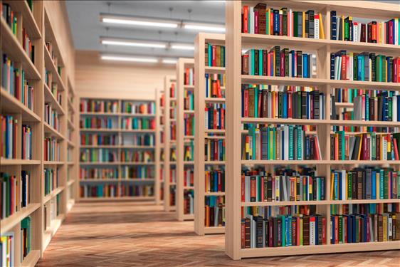  Lei que exige Bíblia em bibliotecas municipais é inconstitucional, decide OE