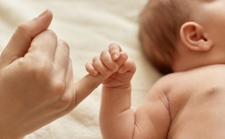  APÓS DECISÃO DO STF : Parecer da AGU estende licença-maternidade a servidoras em cargos temporários