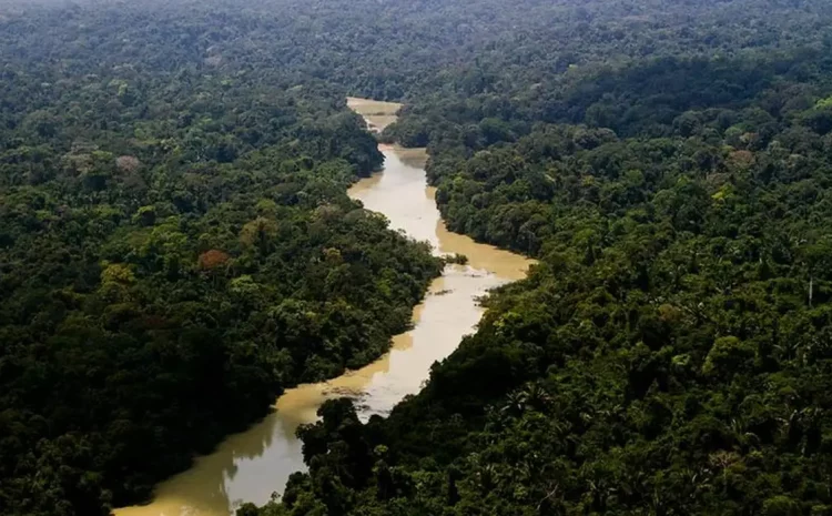  Brasil não trata meio ambiente com seriedade, diz promotor