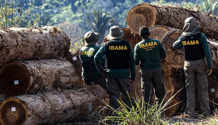  Nulidade em intimações ambientais requer prejuízo comprovado, decide STJ