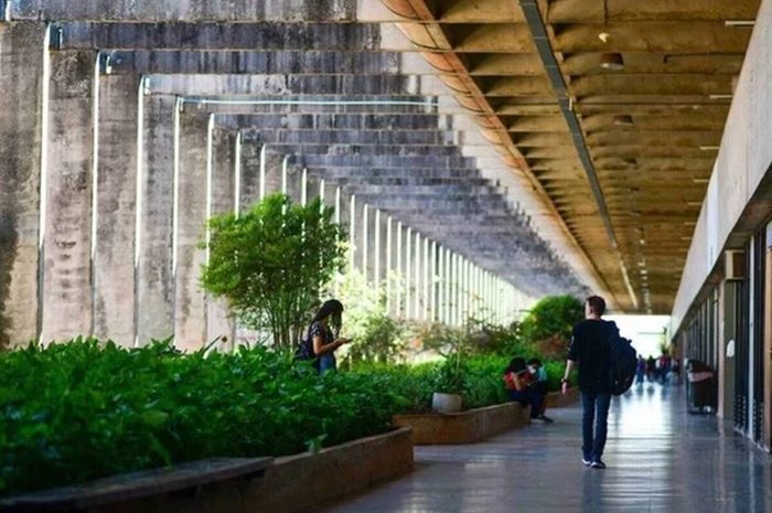  Turma do STF garante reajuste salarial histórico a servidores da Universidade de Brasília