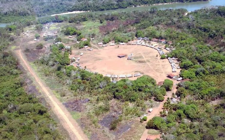  Núcleo de Processos Estruturais do STF vai acompanhar medidas de proteção a povos indígenas isolados 