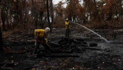  PANTANAL DESPROTEGIDO: STF reconhece omissão do Congresso e dá 18 meses para edição de lei sobre proteção do bioma