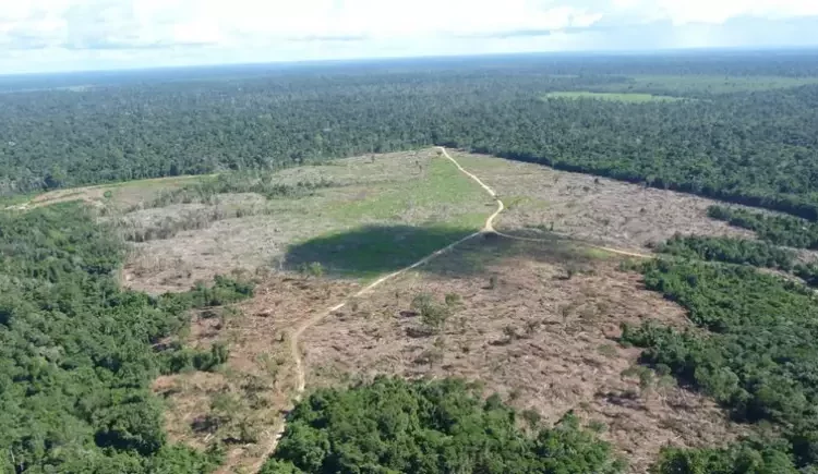  Justiça Federal determina bloqueio de R$ 292 milhões de pecuarista que destruiu Floresta Amazônica