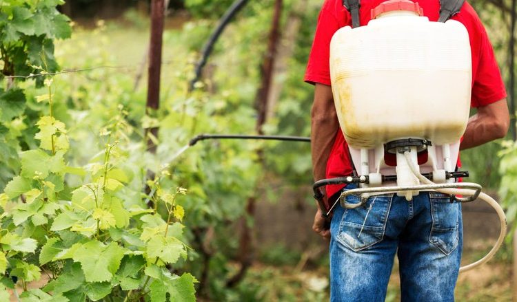  AGU pede na Justiça bloqueio de R$ 90 milhões da Syngenta por venda de agrotóxicos adulterados