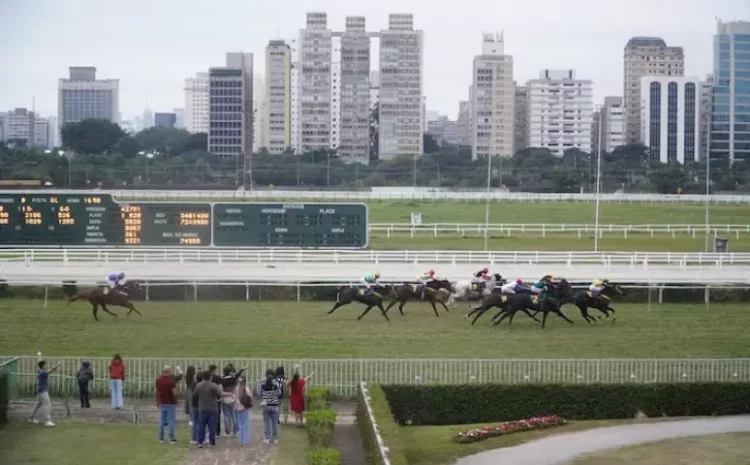  Justiça suspende lei que proíbe corridas de cavalo após pedido do Jockey