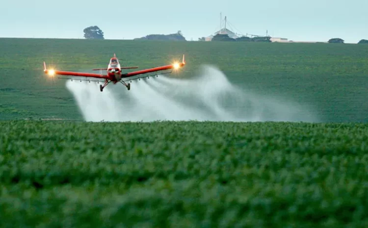  STF marca audiência sobre isenção tributária de agrotóxicos