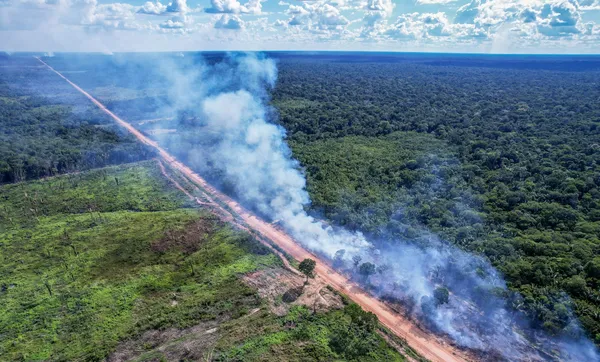  Justiça Federal nega pedido da AGU e mantém suspensa reconstrução de trecho central da BR-319