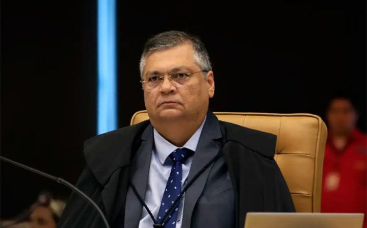  STF mantém suspensas leis municipais que proíbem uso de linguagem neutra