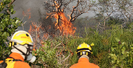  Justiça mantém responsabilidade de concessionária de energia por incêndio