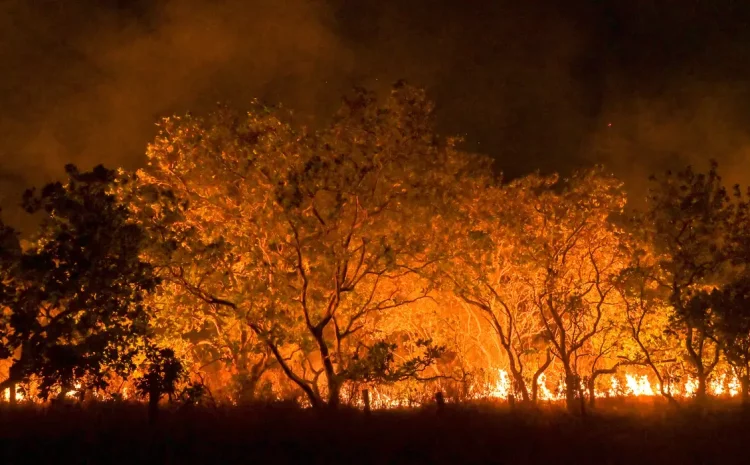  AGU cobra R$ 89 milhões de acusados de causar queimadas na Amazônia