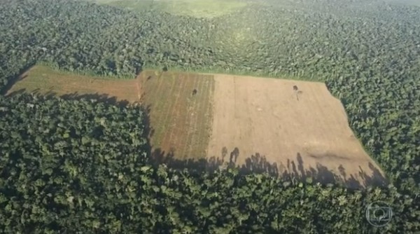  Justiça Federal condena um dos maiores devastadores da Amazônia a pagar indenização milionária por áreas destruídas