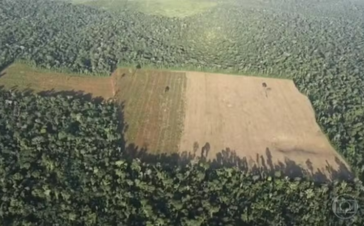  Justiça Federal condena desmatador da Amazônia a pagar R$ 1,2 milhão por danos ambientais