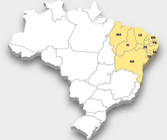  Mulher que sugeriu separar o Nordeste do Brasil tem condenação mantida