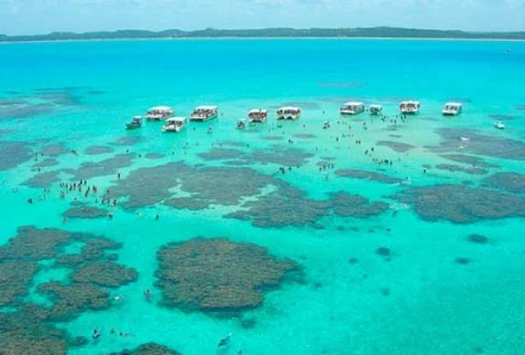  “Caribe Brasileiro”: Justiça Federal suspende turismo na Lagoa Azul, em Maragogi