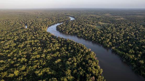  STF exige mais detalhes sobre plano de proteção da Amazônia e cobrança sobre recursos ambientais