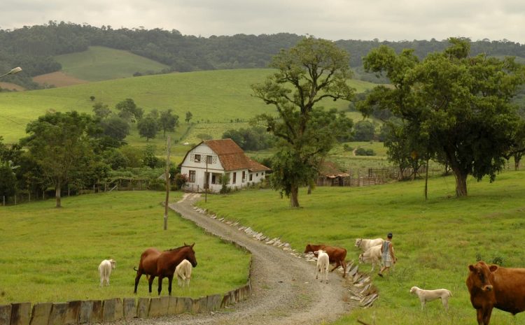  Morador de área rural não precisa pagar IPTU, apenas ITR, decide TJ-SP