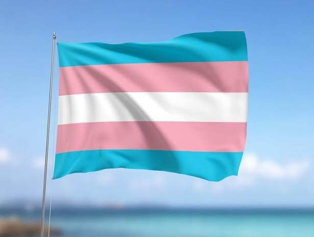  Entidades contestam no STF nova resolução do CFM que restringe acesso de pessoas trans a bloqueio hormonal